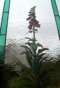 Glasmalerei Pflanze Fingerhut